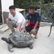 Image: Asahi Simbun/YouTube
